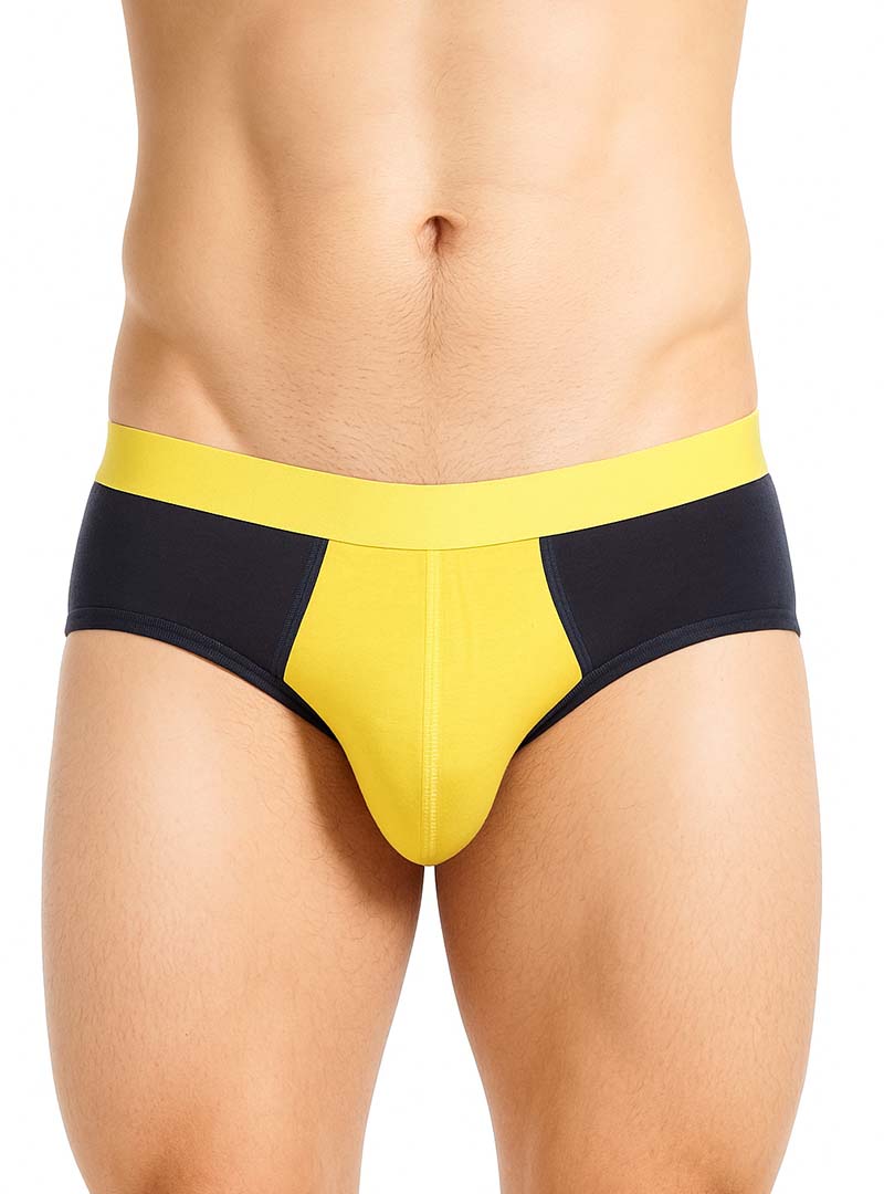 UNDERGEAR BASIX STAN TWO TONE BRIEF