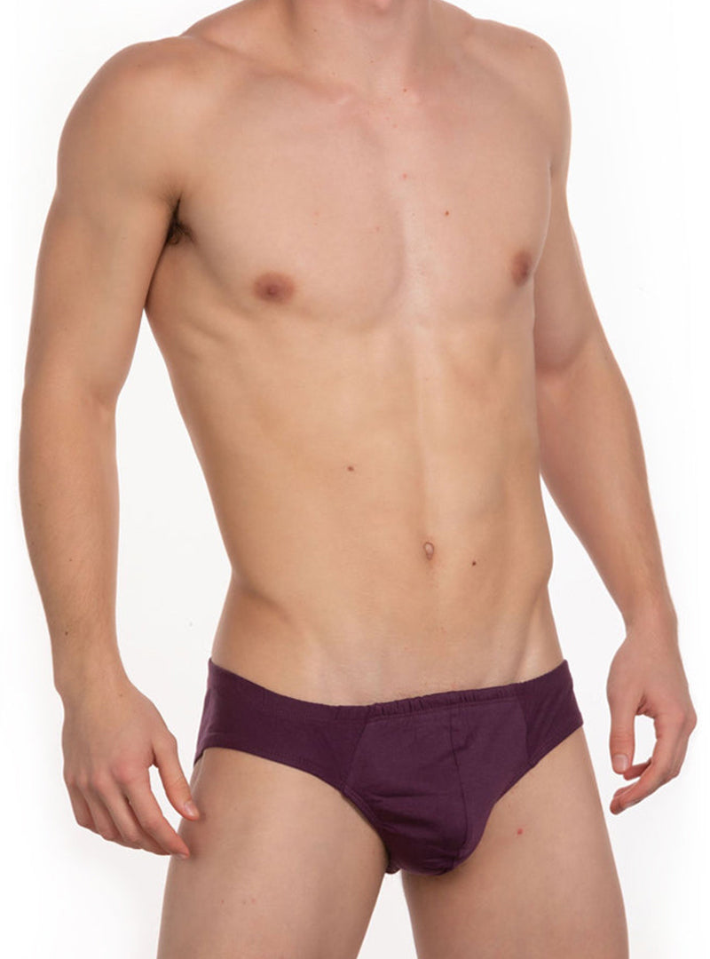 Undergear Contour French Brief