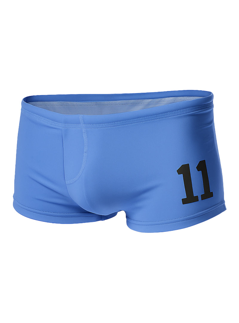 PRIDE 11 BRIEF
