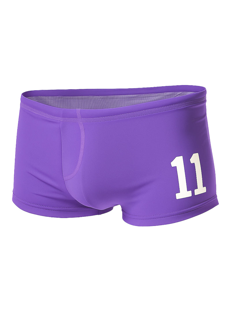 PRIDE 11 BRIEF