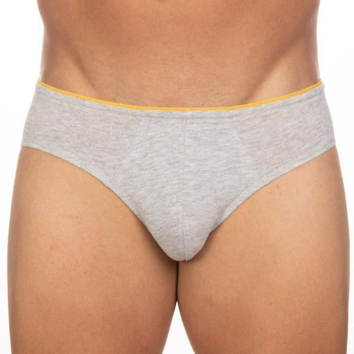 Basix Exposed Elastic Brief Grey Color