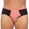 BASIX STAN BRIEF