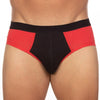 BASIX STAN BRIEF