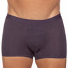 Andrew Velasco Sheer Mesh Trunk Eggplant Color