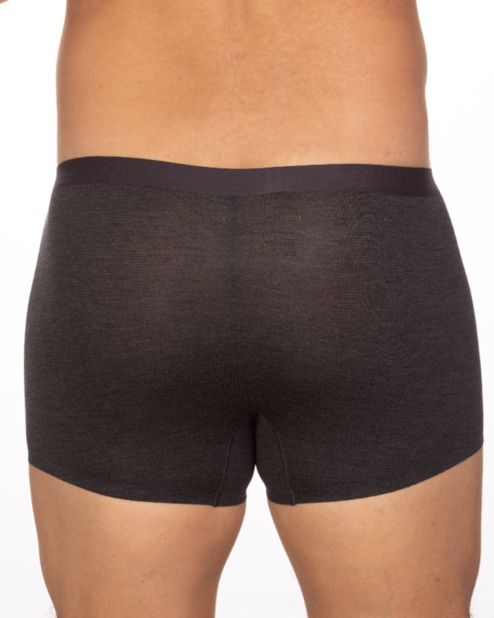 Andrew Velasco Sheer Mesh Trunk Charcoal Color Back Side